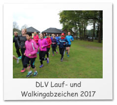 DLV Lauf- und Walkingabzeichen 2017