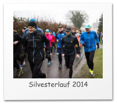 Silvesterlauf 2014